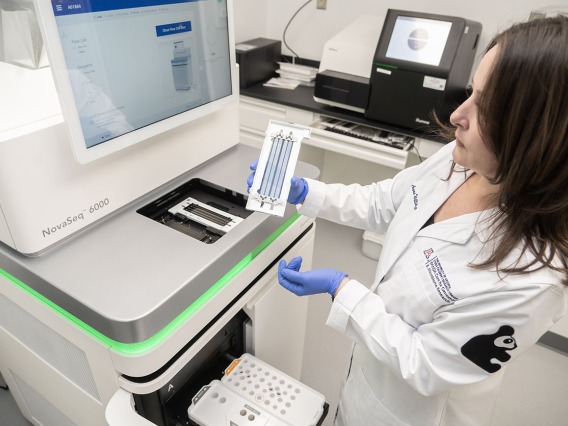 Health Sciences genome sequencers a leap forward for research