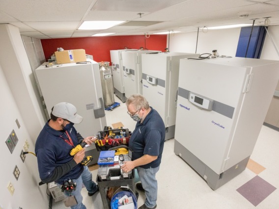 The University of Arizona freezer farm has seven freezers that operate at minus 80 degrees Celsius and one that operates at minus 20 C. Additional freezers are coming.