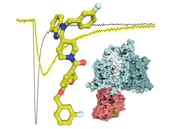 New Compound Provides Innovative Pain Relief