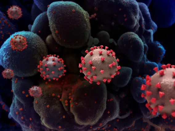 Bacterial Extracts Could Prevent COVID-19, Study Finds