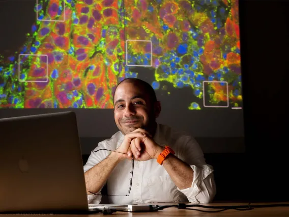 Cancer Response to Tumor Stiffness May Predict Metastasis