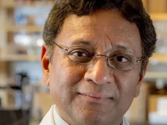 Nafees Ahmad, PhD