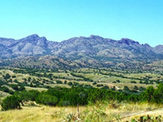 Arizona rural landscape banner