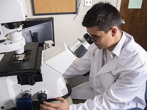 Lab researcher in white coat analyzing with microscope.