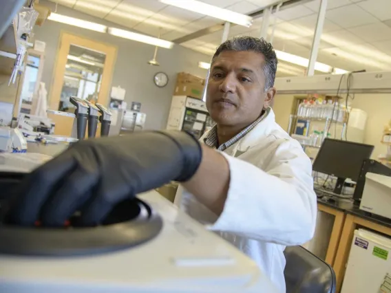 Deepta Bhattacharya, PhD, is a renowned immunologist who studies stem cells and antibody responses to infections and vaccines.