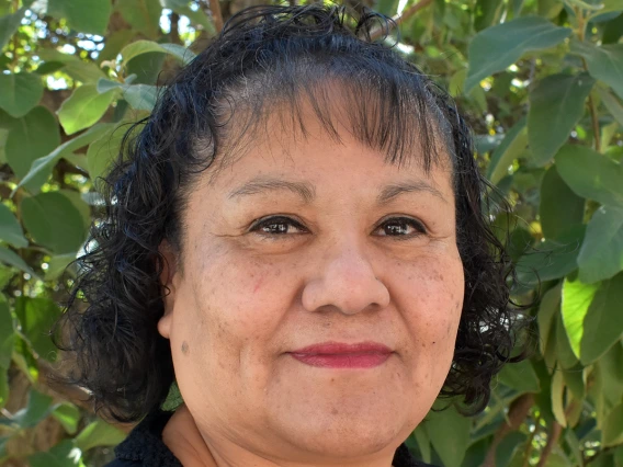 Lisa H. Torres-Jones