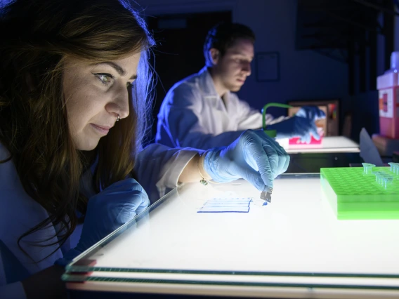Langlais Lab