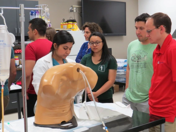 Neurology Residency