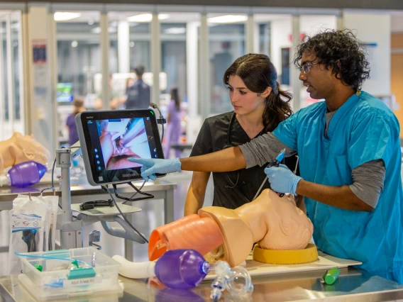 Bachelor of Science in Medicine students practicing on a medical model