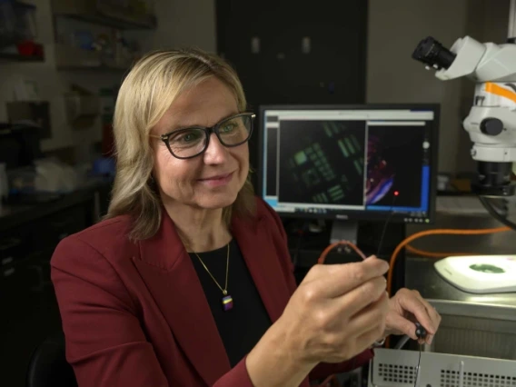 Jennifer Barton, PhD