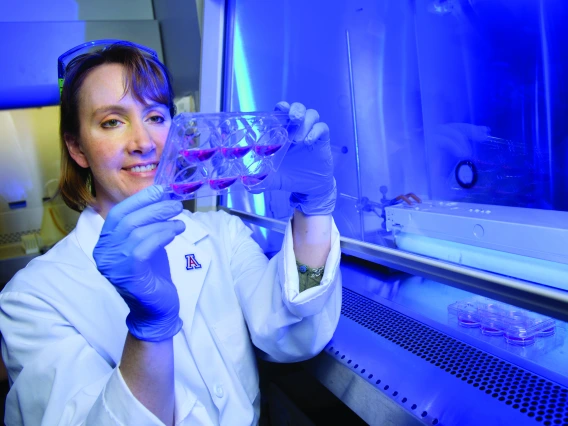 Sally E. Dickinson, PhD