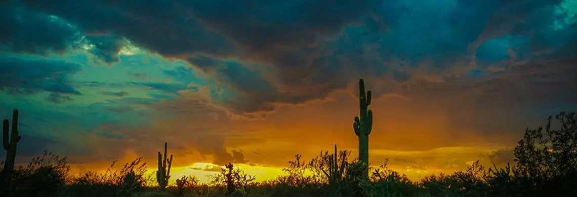 Desert at orangish bluish sunset with skyline of cacti and stormy clouds