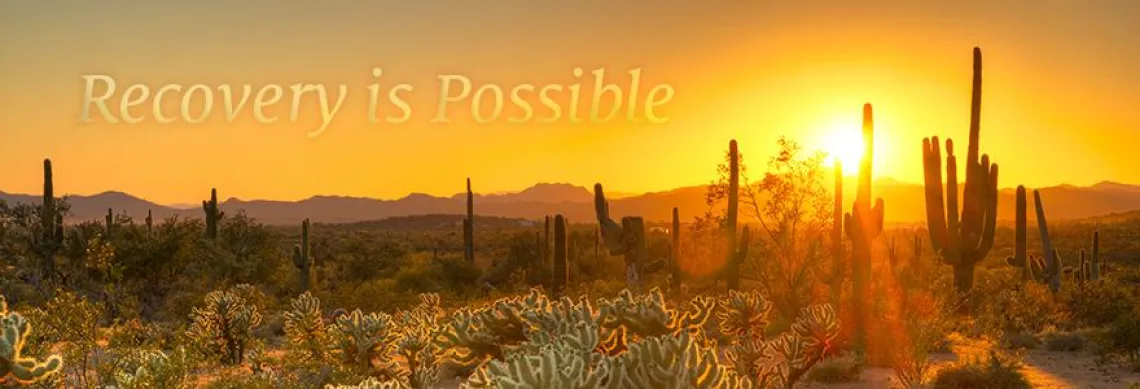 Photo of sunrise with cacti on the horizon