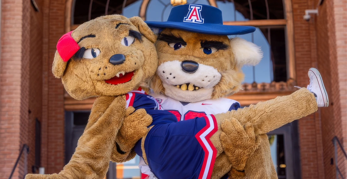 University of Arizona mascot poses proudly, showcasing school spirit and enthusiasm at a university event.