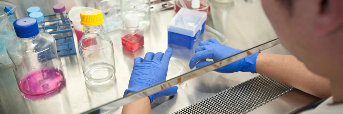 A person wearing blue gloves is conducting experiments at a laboratory bench, surrounded by scientific equipment.