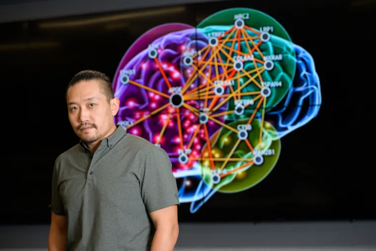 Rui Chang, PhD