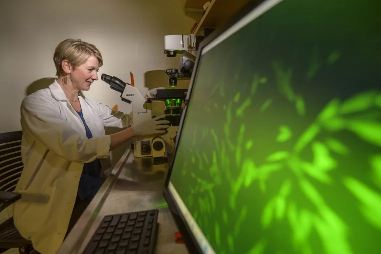 Researchers Determined to Stop the Viruses from Winning