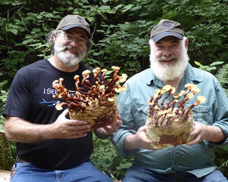 Paul Stamets and Andrew Weil, MD - Building Bridges with Indigenous Communities: Stamets Gift Funds New Scholarship for Fellowship in Integrative Medicine