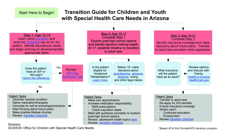 Transition Flow Chart