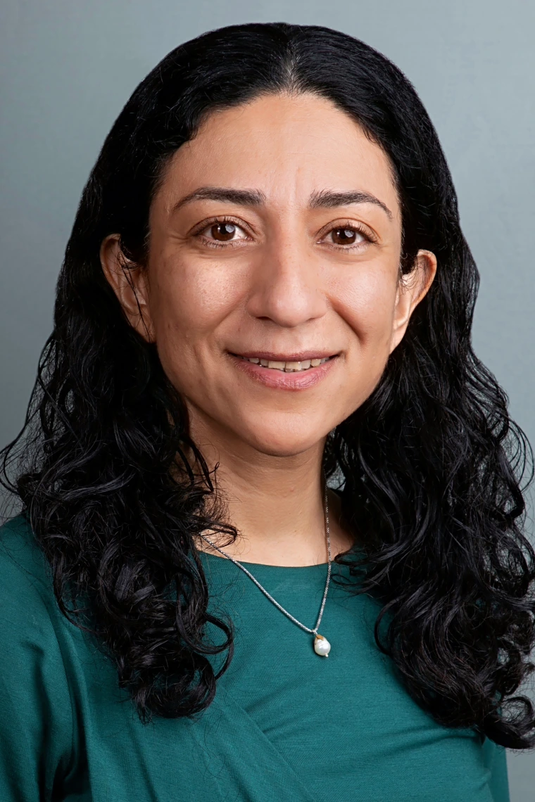 Maryam Emami Neyestanak, PhD