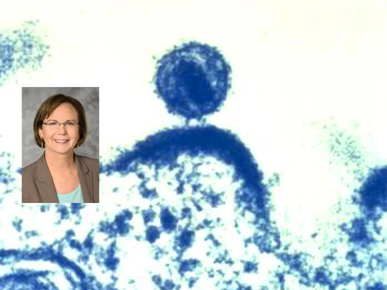 A portrait of Elizabeth Connick, MD, inset into an image depicting a single human immunodeficiency virus (HIV), as it was budding from a human immune cell, which the virus had infected, and within which the HIV virus had been replicated. (Credit: NIAID, 2012) A portrait of Elizabeth Connick, MD, inset into an image depicting a single human immunodeficiency virus (HIV), as it was budding from a human immune cell, which the virus had infected, and within which the HIV virus had been replicated. (Credit: NIAID, 2012)