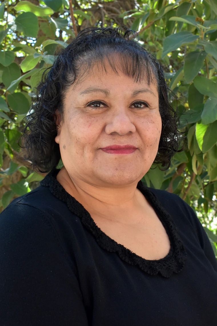 Lisa H. Torres-Jones