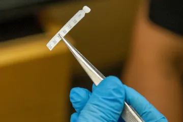 A small tear strip is used to harvest tears from a patient's eye