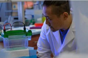 Rui Chang, PhD