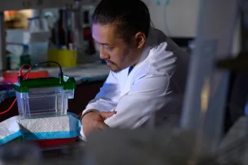 Rui Chang, PhD