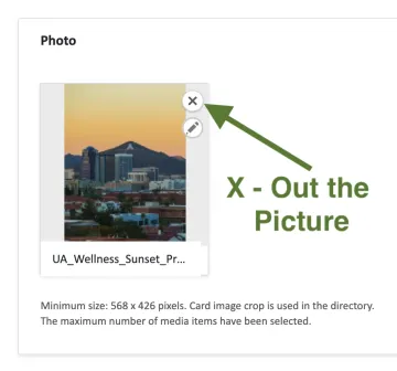PROFILE EDITORS