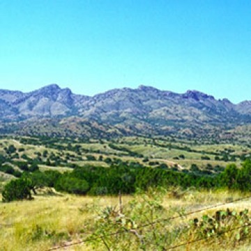 Arizona rural landscape banner
