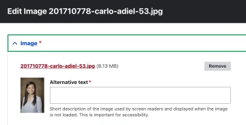 Removes Image from the website.