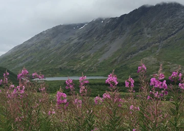 Valdez, AK