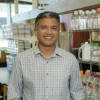 Deepta Bhattacharya, PhD, professor of immunobiology in the UArizona College of Medicine – Tucson