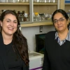 Kelsey Bernard, PhD, and Lalitha Madhavan, MD, PhD