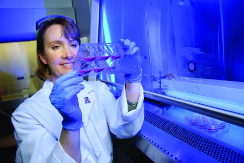 Sally E. Dickinson, PhD